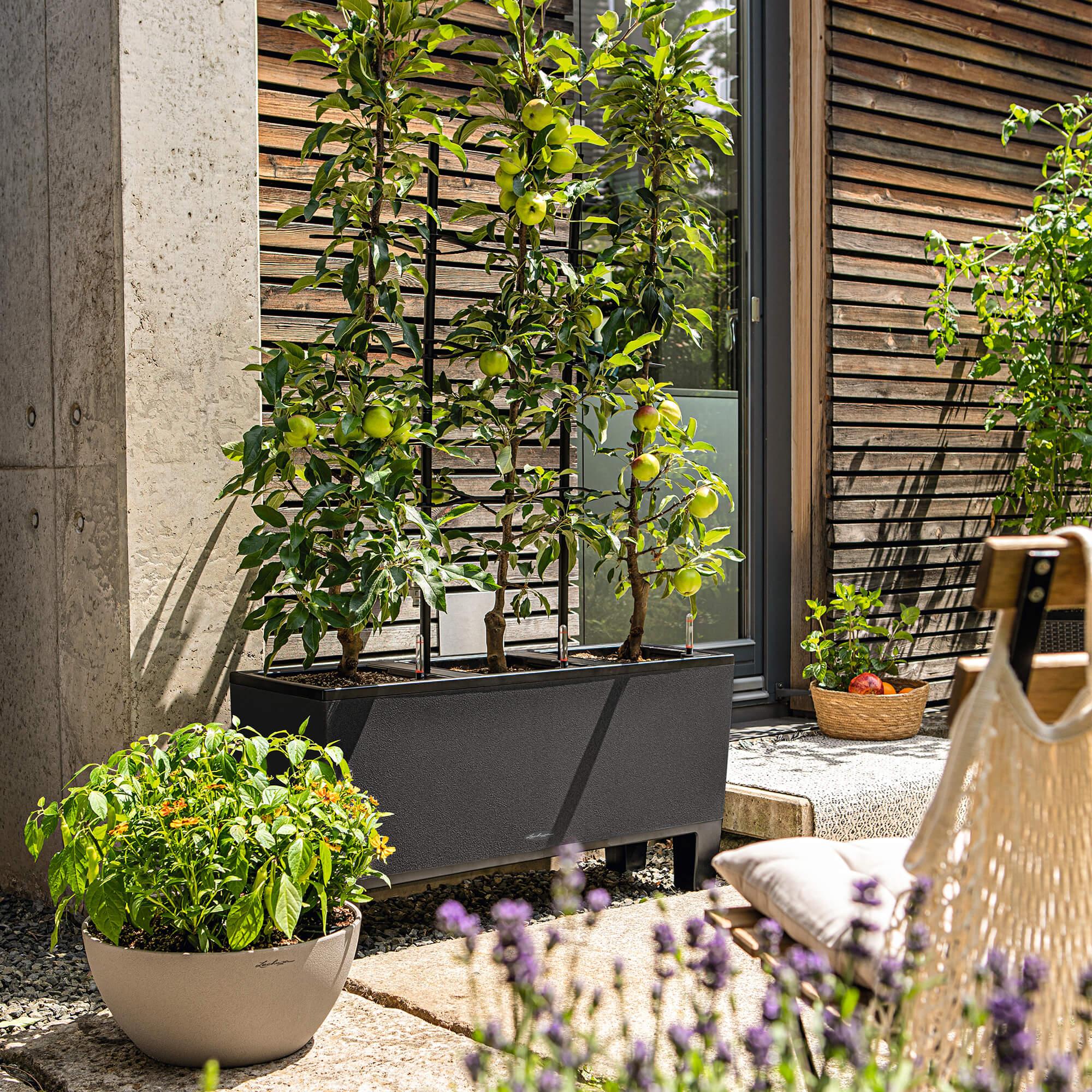 le_trio-stone40_product_addi_01